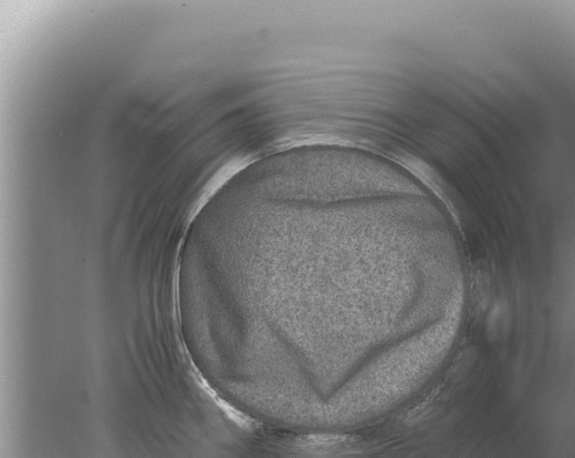 X0000077991290200611171745