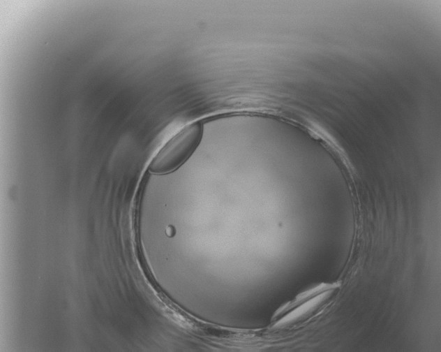 X0000077991291200611171745