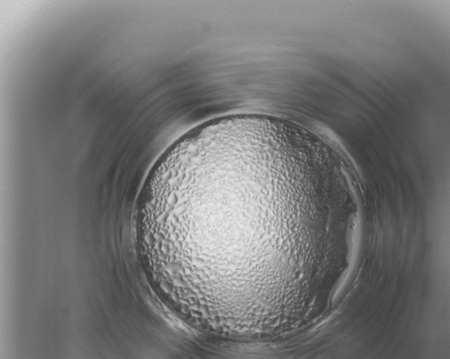 X0000077991292200611171745