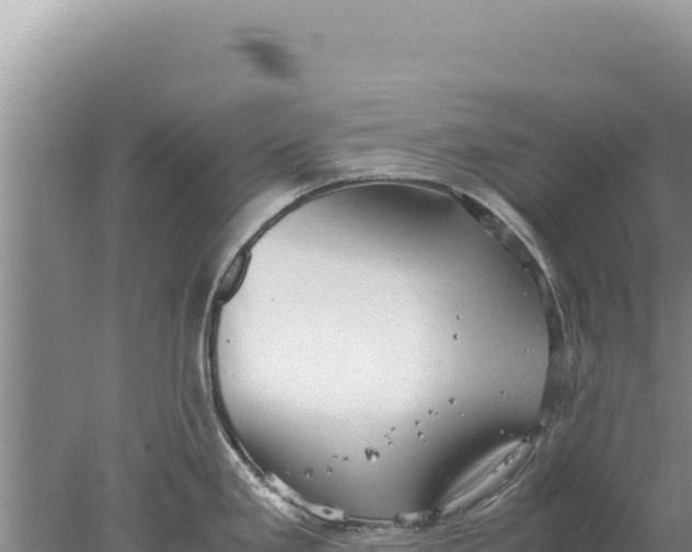 X0000077991293200611171745