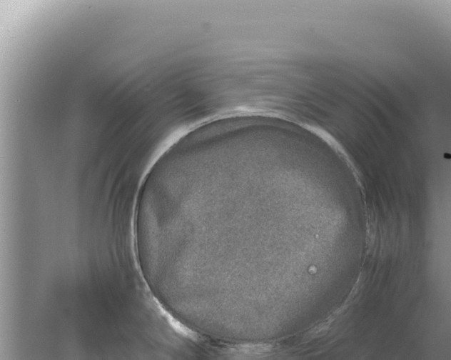 X0000077991294200611171745