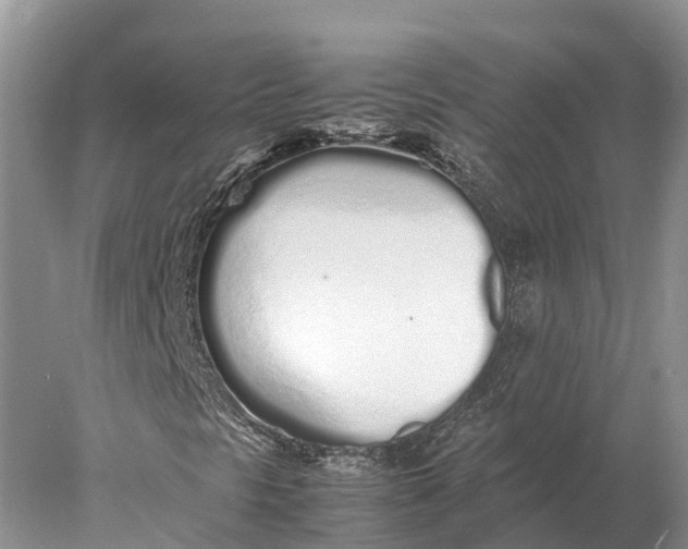 X0000077991297200611171744