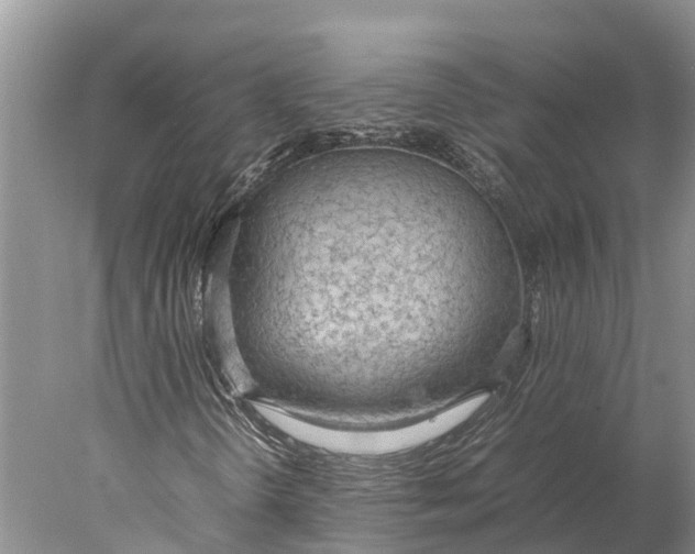 X0000077991298200611171744