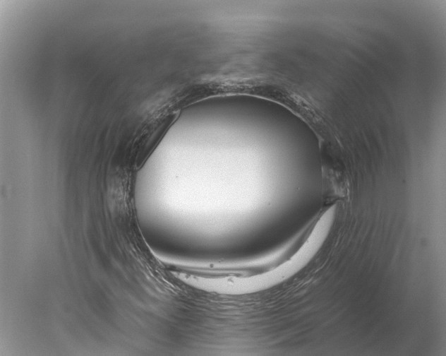 X0000077991300200611171744