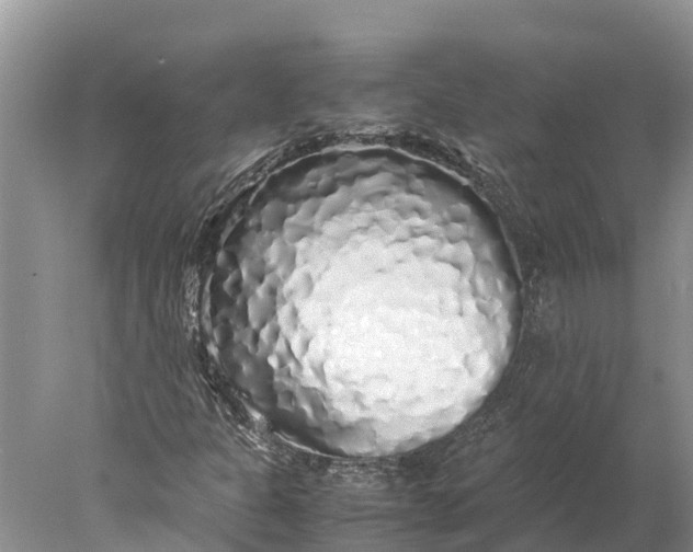 X0000077991301200611171744