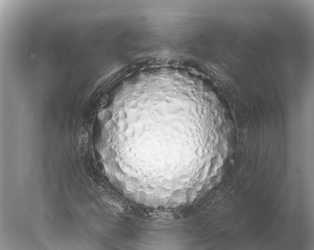 X0000077991302200611171744