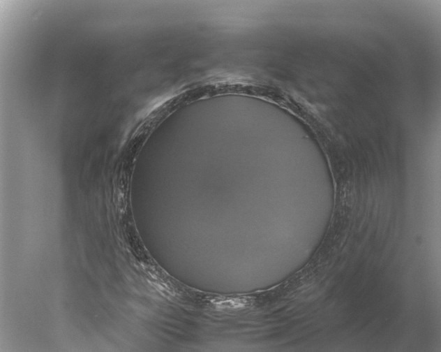 X0000077991303200611171744