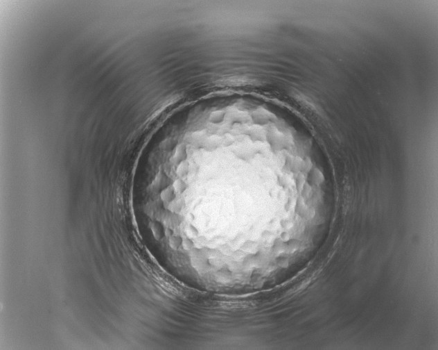 X0000077991305200611171744