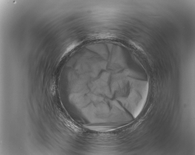 X0000077991306200611171744