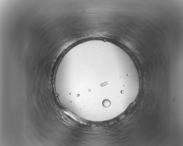 X0000077991308200611171744