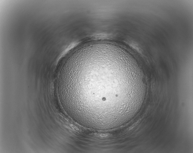 X0000077991309200611171744