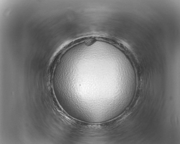 X0000077991310200611171744