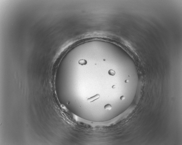 X0000077991312200611171744