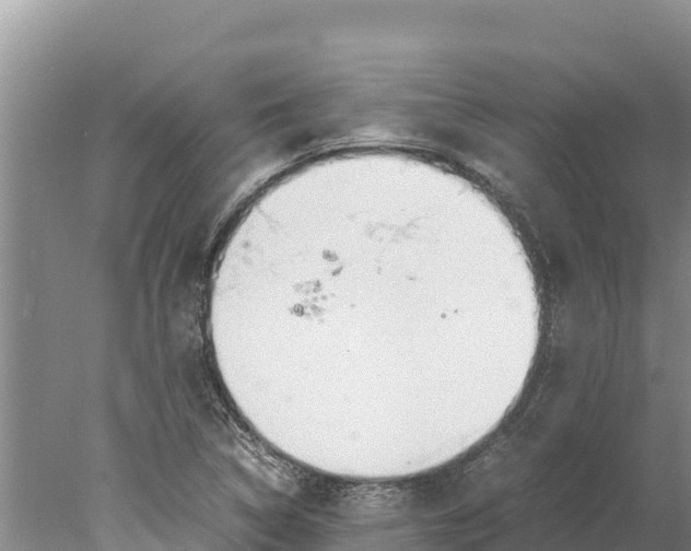 X0000077991314200611171744