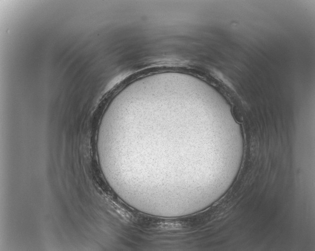 X0000077991315200611171744