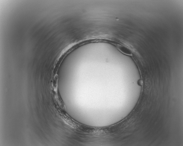 X0000077991316200611171744