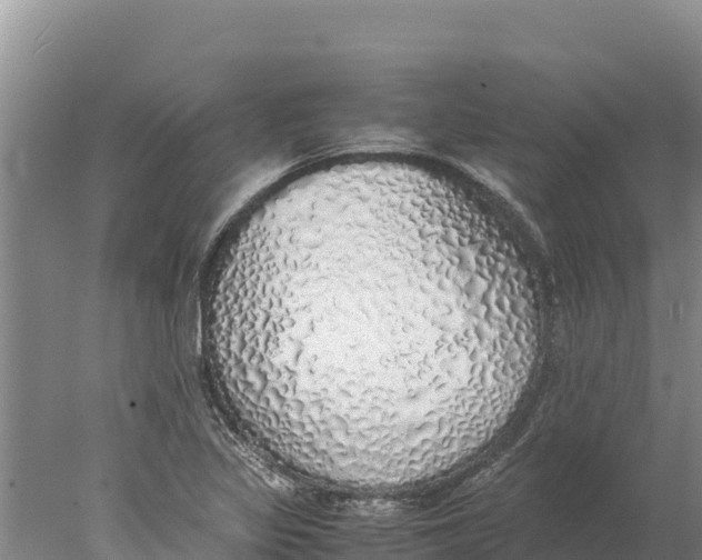 X0000077991317200611171744