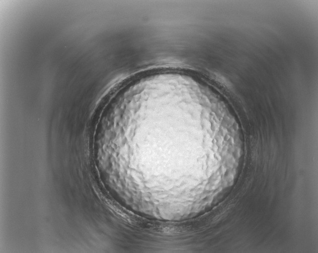 X0000077991318200611171744