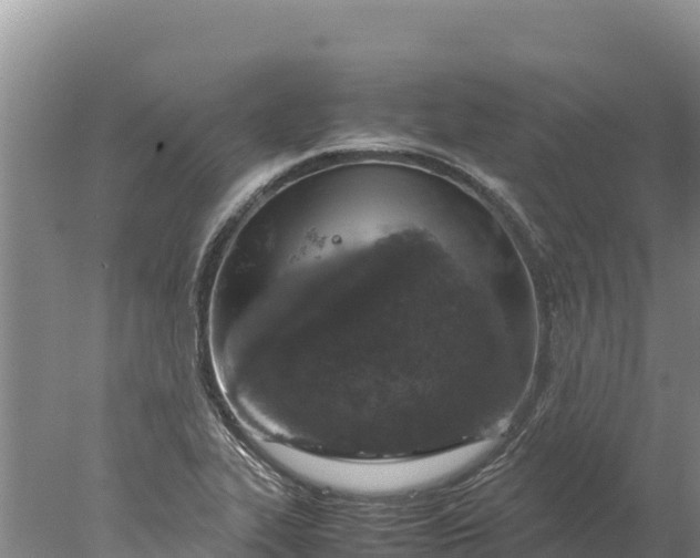 X0000077991319200611171744