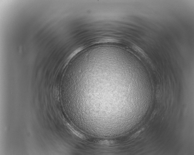 X0000077991321200611171744