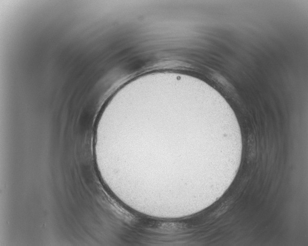 X0000077991322200611171744