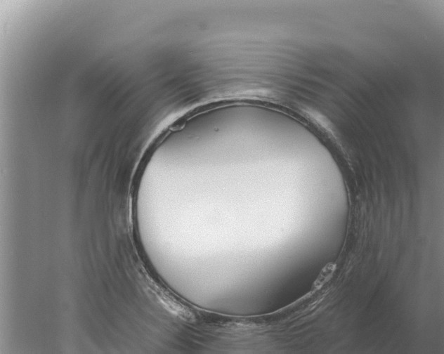 X0000077991324200611171744