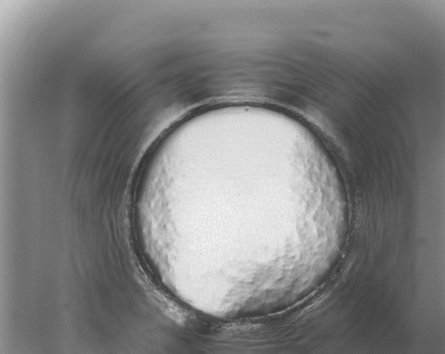 X0000077991325200611171744