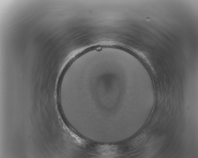 X0000077991327200611171744