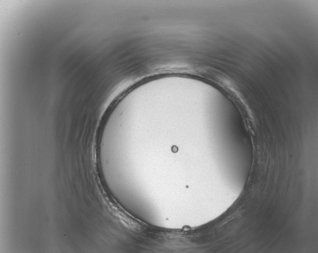 X0000077991328200611171744