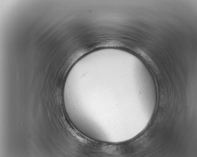 X0000077991329200611171744