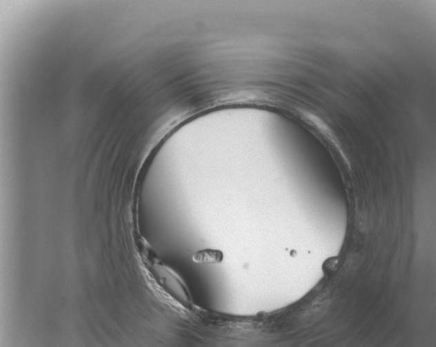 X0000077991330200611171744