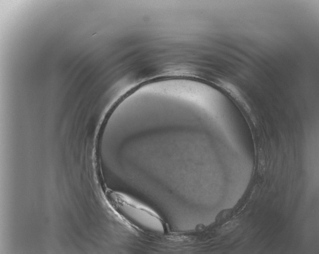 X0000077991331200611171744