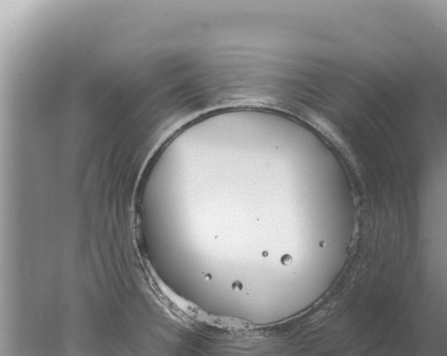 X0000077991332200611171744