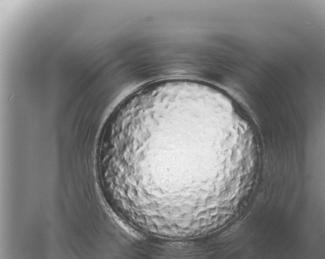 X0000077991333200611171744