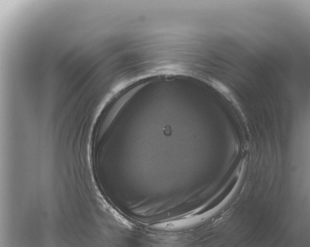 X0000077991334200611171744