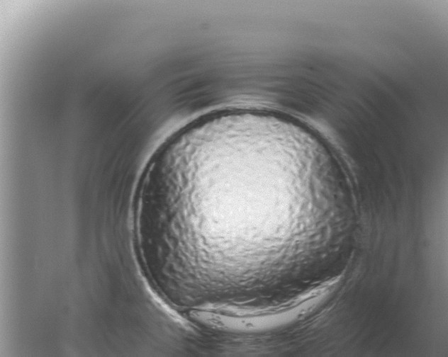 X0000077991335200611171744