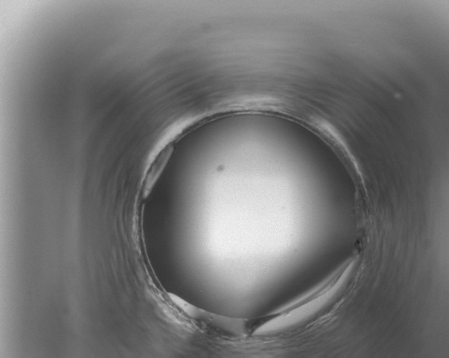 X0000077991336200611171744