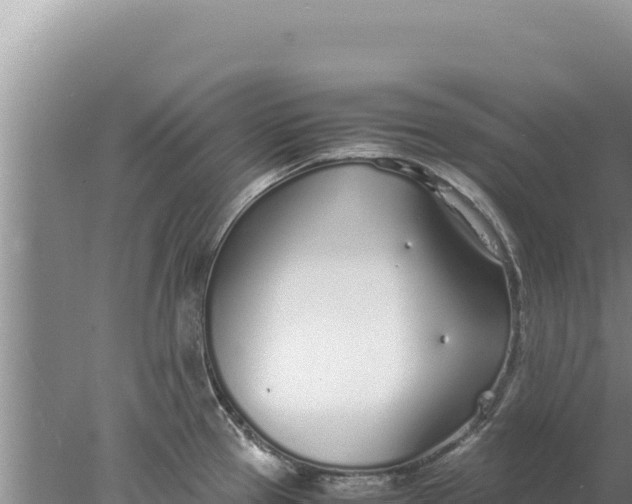 X0000077991337200611171745