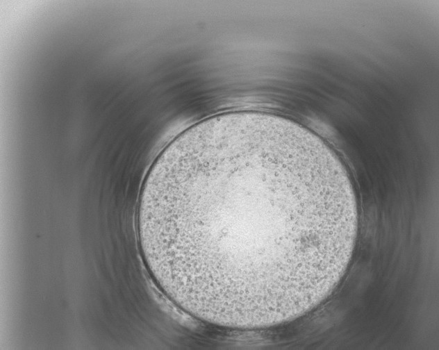 X0000077991338200611171745