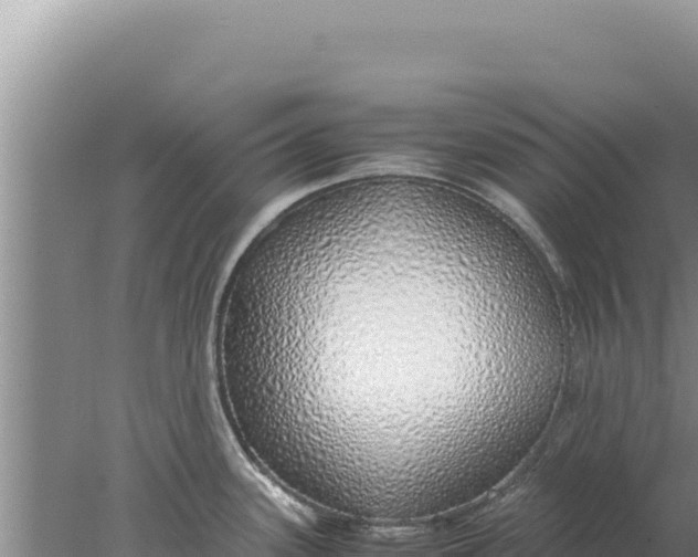 X0000077991339200611171745