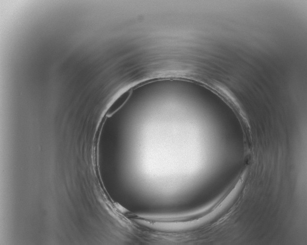 X0000077991340200611171745