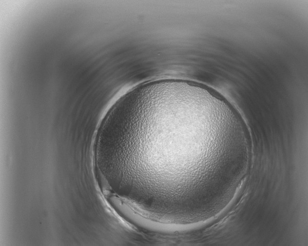 X0000077991341200611171745