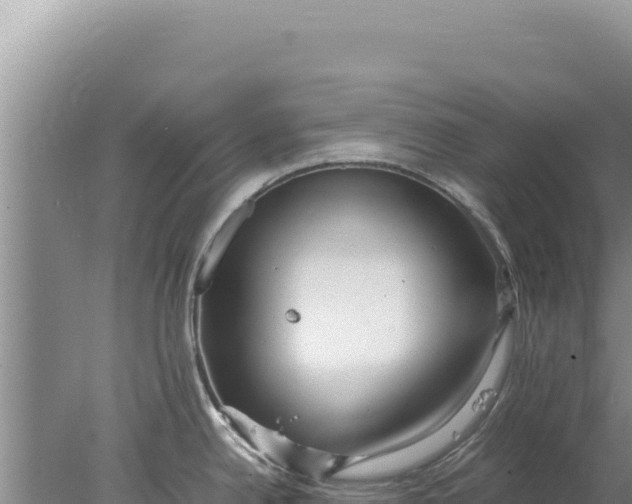 X0000077991342200611171745