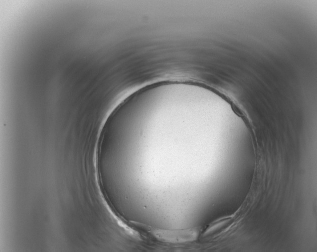 X0000077991343200611171745