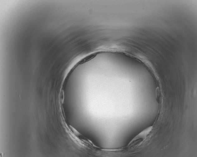 X0000077991344200611171745