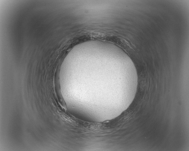 X0000077991345200611171744