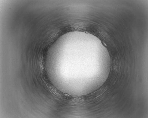 X0000077991346200611171744