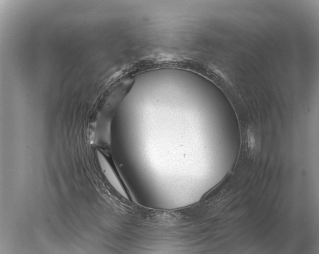 X0000077991348200611171744