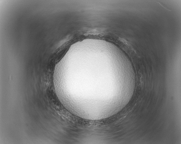 X0000077991350200611171744