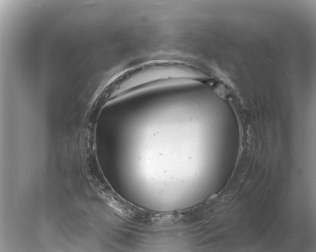 X0000077991352200611171744